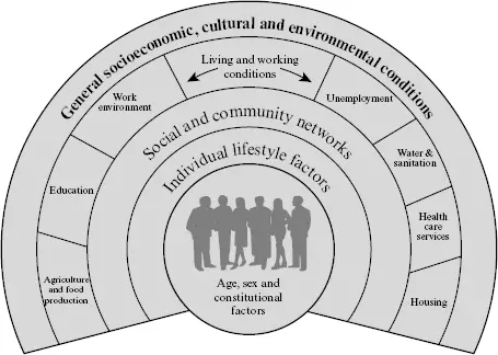 Figure i1The Dahlgren and Whitehead determinants of health rainbow Source - фото 1