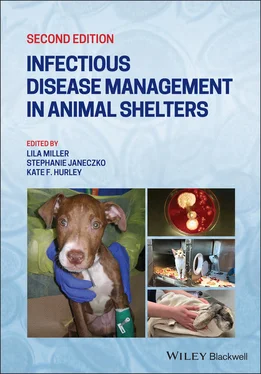 Неизвестный Автор Infectious Disease Management in Animal Shelters обложка книги