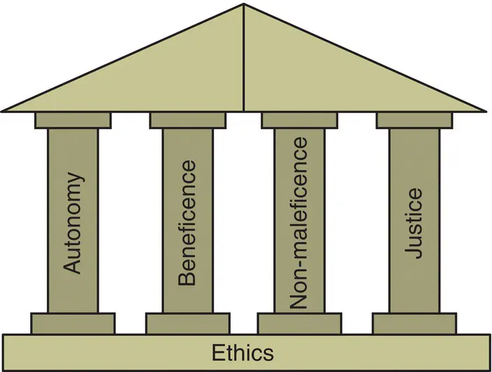 Figure 22 Ethics Table 21 Governance Clinical governance addresses - фото 6