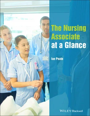 Ian Peate The Nursing Associate at a Glance обложка книги