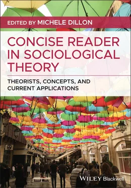 Неизвестный Автор Concise Reader in Sociological Theory обложка книги