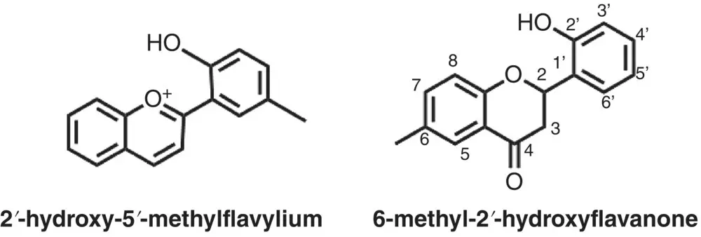 Scheme 111 2hydroxy5methylflavylium and its derived flavanone form - фото 57