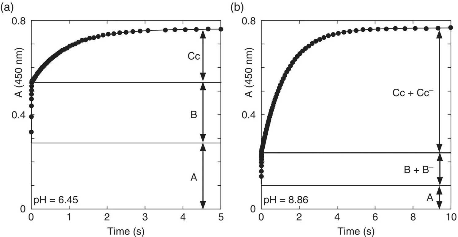 Figure 13 Stopped flow traces 4hydroxyflavylium at pseudoequilibrium - фото 33