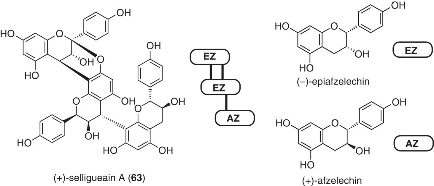 Figure 228 Structure of selligueain A its monomeric flavan constituents - фото 91