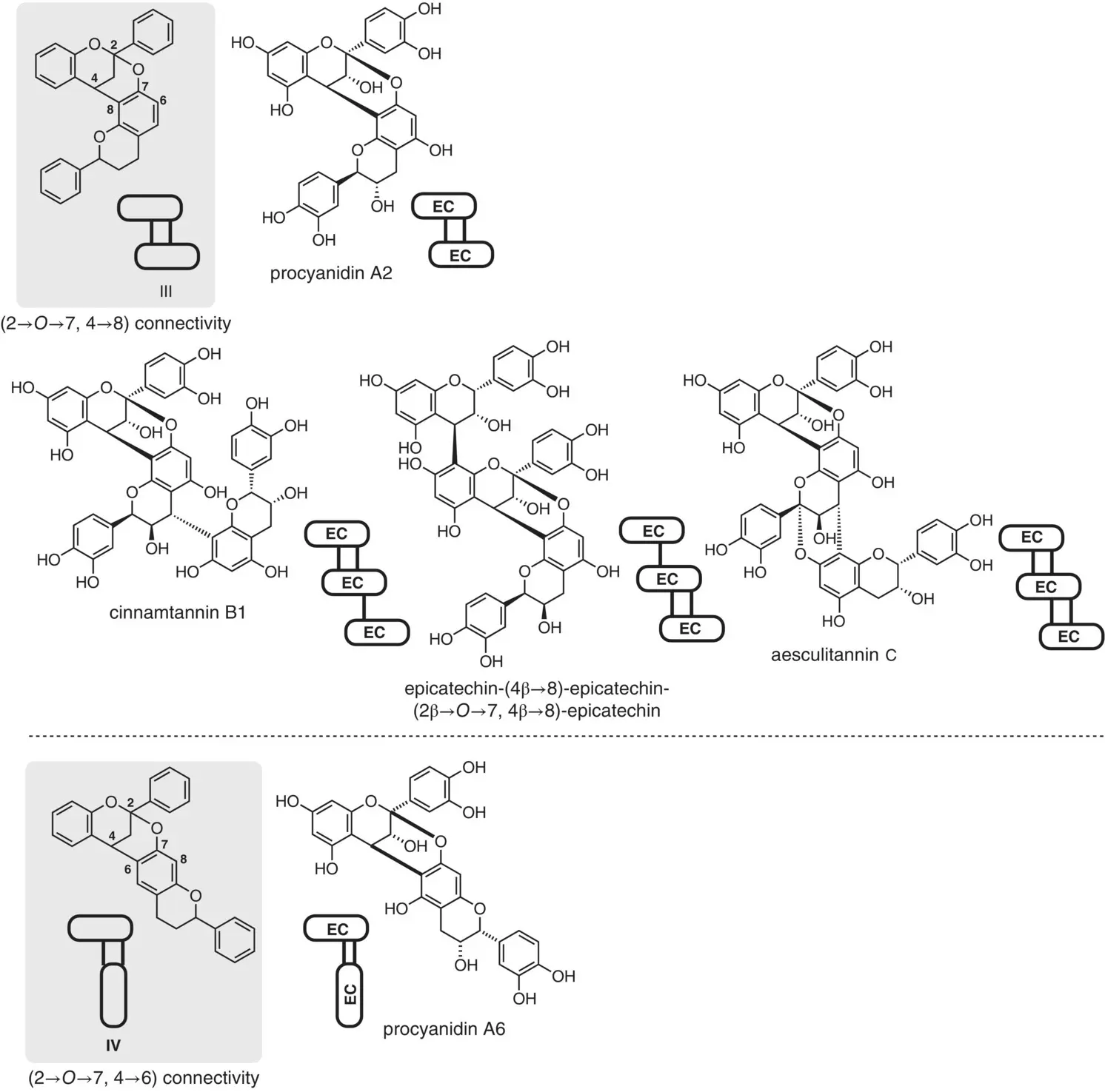 Figure 23 Origin of the structural diversity in oligomeric PAs compounds - фото 66