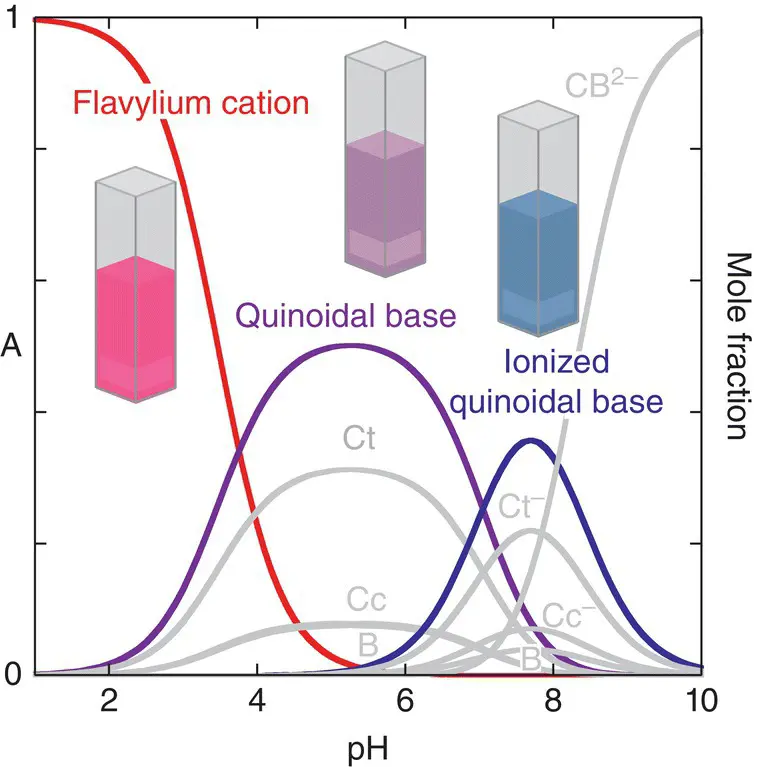 Figure 15 Mole fraction distribution of heavenly blue anthocyanin Source - фото 54