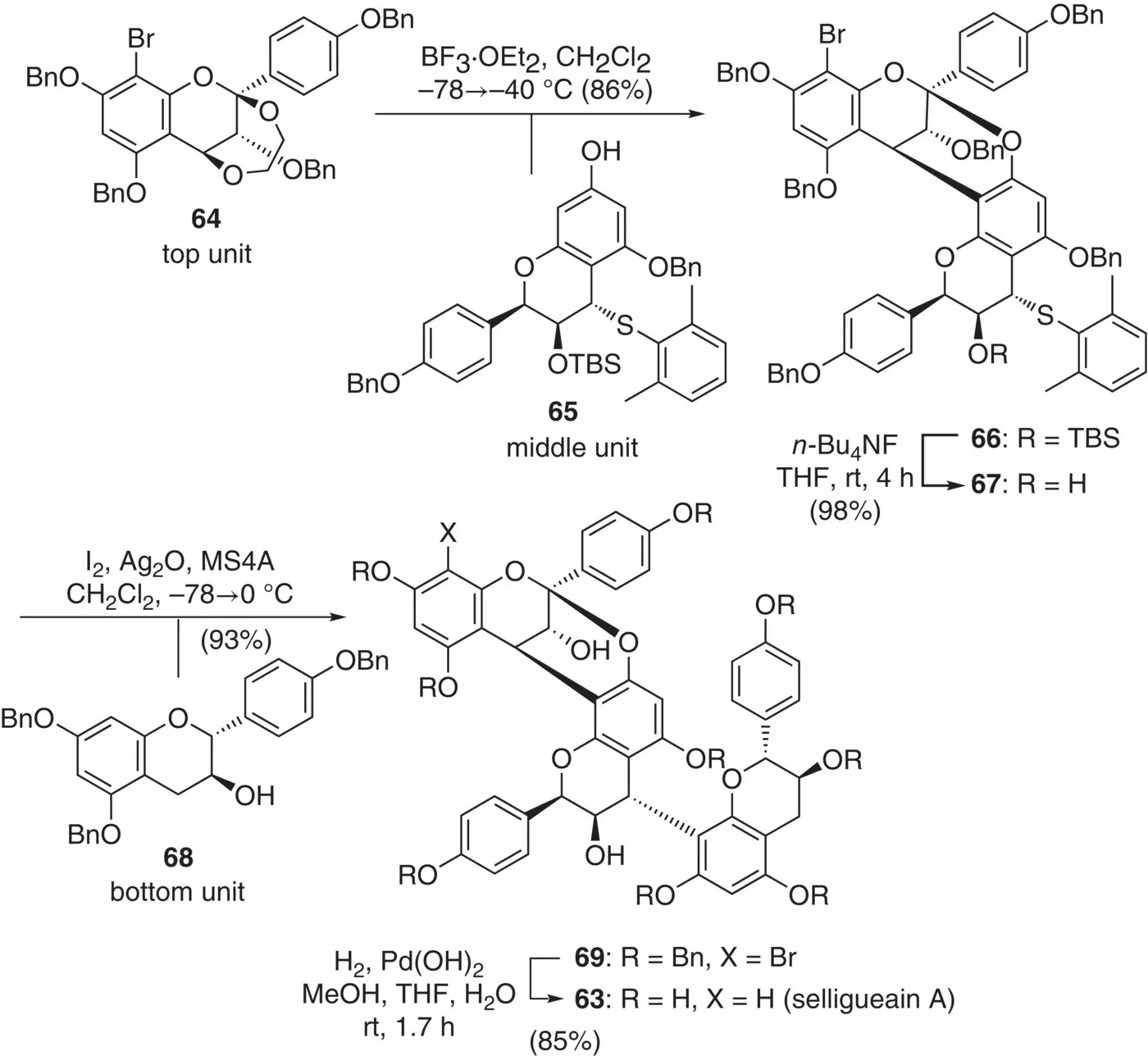 Figure 229 Orthogonal activation and synthesis of selligueain A Figure 230 - фото 92
