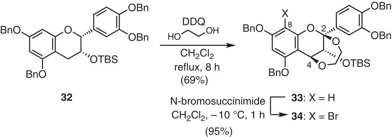 Figure 219 Synthesis of a 24dioxy flavan derivative Figure 220 Model - фото 82