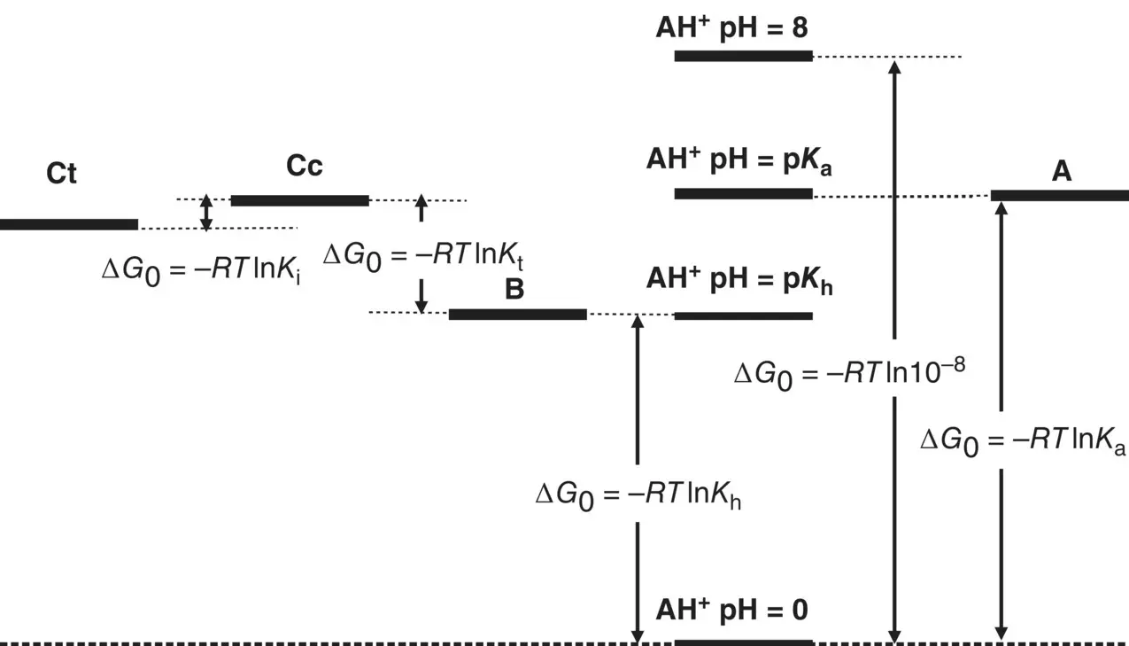 Scheme 12 Energy level diagram for anthocyanins and related compounds in - фото 8