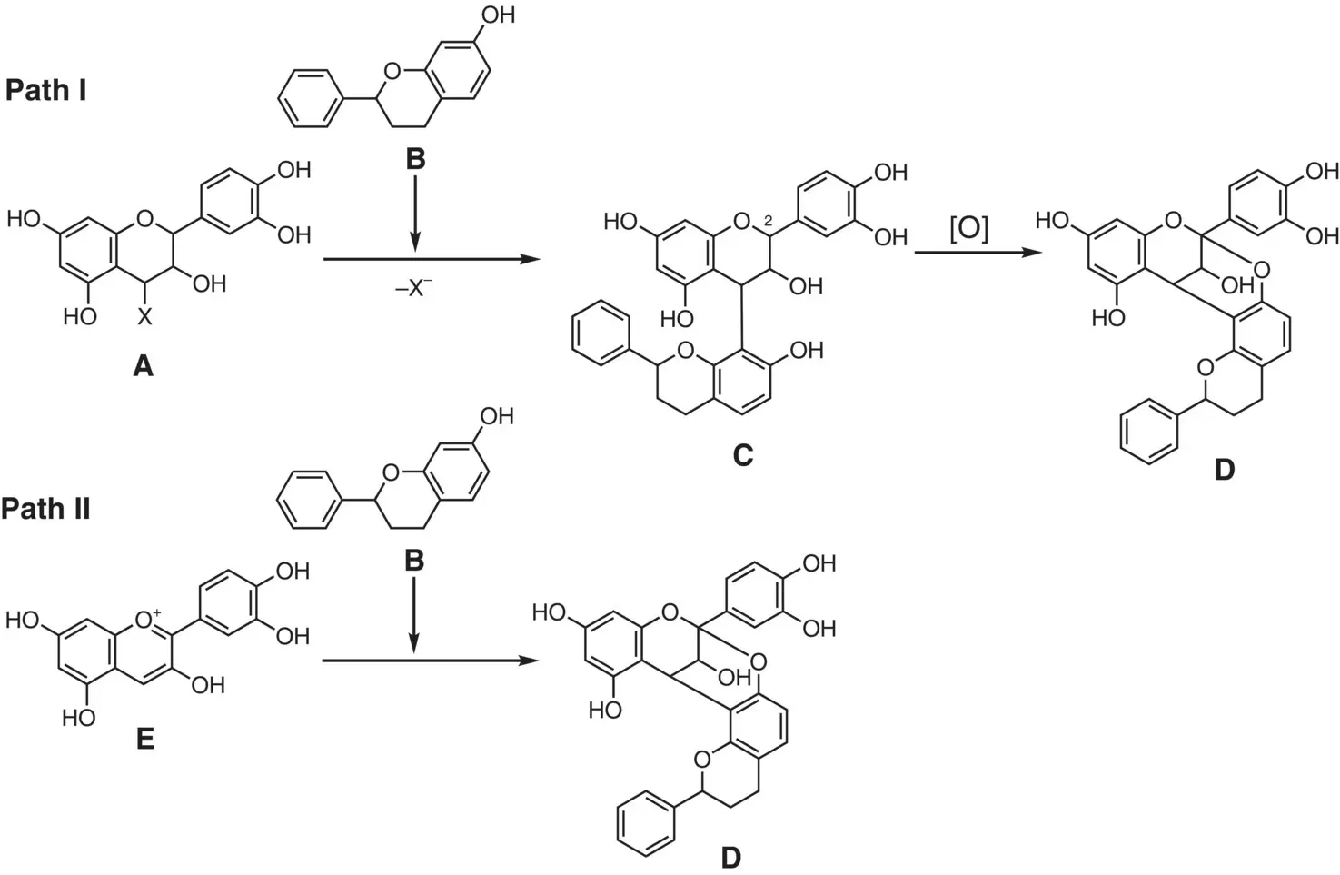 Figure 27 Two plausible biosynthetic pathways forming the Atype structure - фото 70