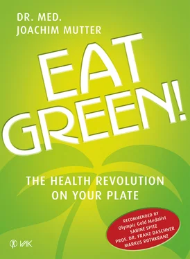 Joachim, Dr. med. Mutter Eat Green! обложка книги