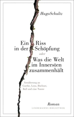 Hugo Schultz Ein Riss in der Schöpfung обложка книги