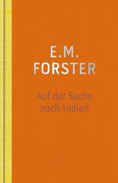 E.M. Forster Auf der Suche nach Indien обложка книги