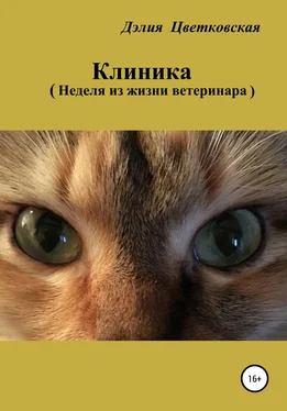 Дэлия Цветковская Клиника. Неделя из жизни ветеринара обложка книги