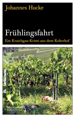 Johannes Hucke Frühlingsfahrt обложка книги