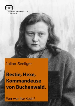 Julian Seeliger Bestie, Hexe, Kommandeuse von Buchenwald обложка книги