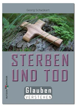 Georg Schwikart Sterben und Tod обложка книги