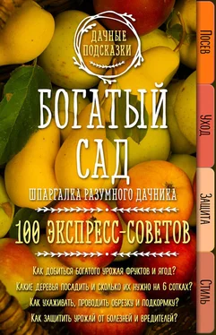 Мария Колпакова Богатый сад. Шпаргалка разумного дачника. 100 экспресс-советов обложка книги