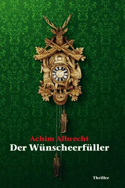 Achim Albrecht Der Wünscheerfüller обложка книги