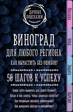 Мария Колпакова Виноград для любого региона. Как вырастить без ошибок? 50 шагов к успеху обложка книги