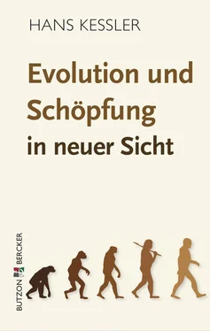 Hans Kessler Evolution und Schöpfung in neuer Sicht обложка книги