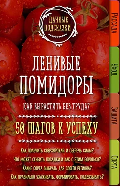 Мария Колпакова Ленивые помидоры. Как вырастить без труда? 50 шагов к успеху обложка книги