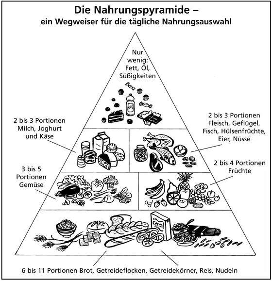 Quelle US Department of Agriculture US Department of Health and Human - фото 3