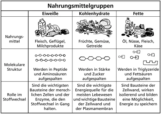 Eine Ernährung die für einen Teil der Menschheit gesund ist würde sich - фото 2