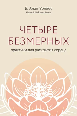 Б. Алан Уоллес Четыре безмерных. Практики для раскрытия сердца обложка книги