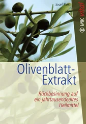 Josef Pies - Olivenblatt-Extrakt