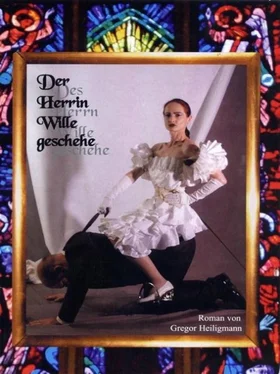 Gregor Heiligmann Der Herrin Wille geschehe обложка книги