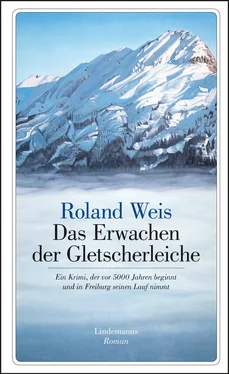 Roland Weis Das Erwachen der Gletscherleiche обложка книги