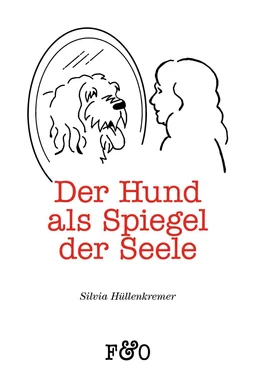 Silvia Hüllenkremer Der Hund als Spiegel der Seele обложка книги