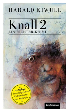 Harald Kiwull Knall 2 обложка книги
