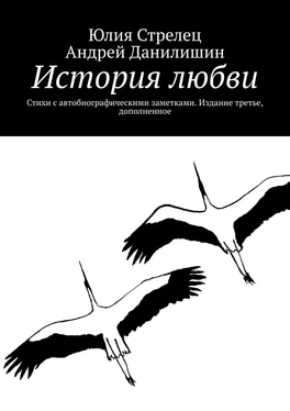 Юлия Стрелец История любви. Стихи с автобиографическими заметками. Издание третье, дополненное обложка книги