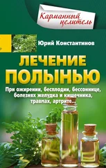 Юрий Константинов - Лечение полынью. При ожирении, бесплодии, бессоннице, болезнях желудка и кишечника, травмах, артрите…