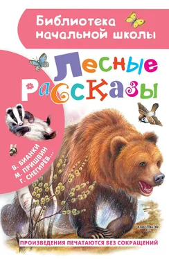 Геннадий Снегирев Лесные рассказы обложка книги