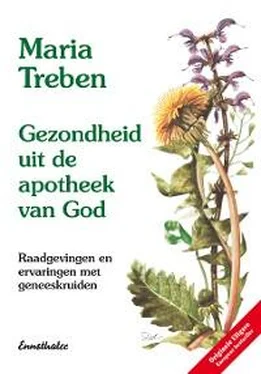 Maria Treben Gezondheid uit de apotheek van God обложка книги