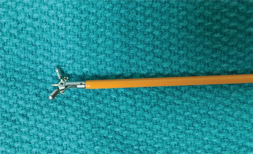 Figure 14 Endoscopic biopsy forceps in the open position The needlelike pin - фото 5