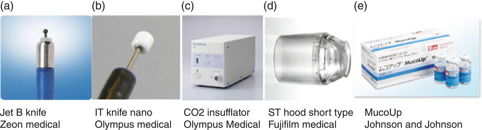 Figure 13 a Tools for performing endoscopic resection including endoscopic - фото 4