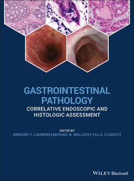 Неизвестный Автор Gastrointestinal Pathology обложка книги