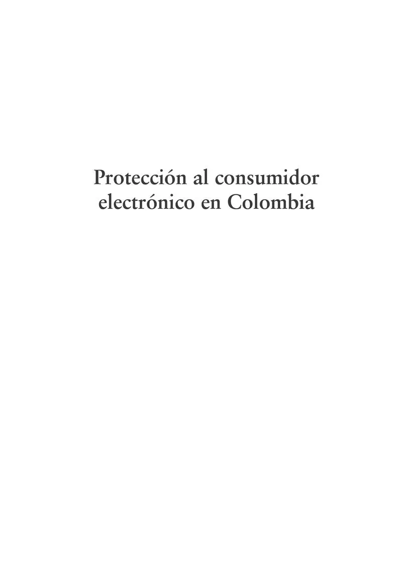 Cortés Borrero Rodrigo Protección al consumidor electrónico en Colombia - фото 1