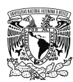 Universidad Nacional Autónoma de México México 2019 In memoriam CUEC - фото 1