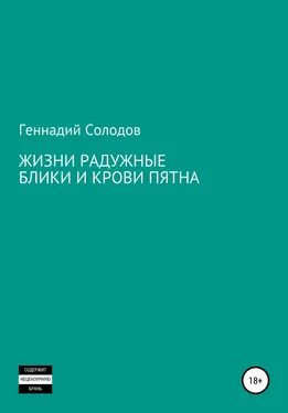 Геннадий Солодов Жизни радужные блики и крови пятна обложка книги