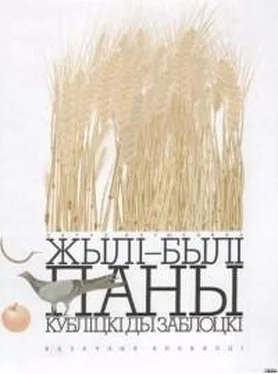 Пятро Васючэнка Жылі-былі паны Кубліцкі ды Заблоцкі обложка книги