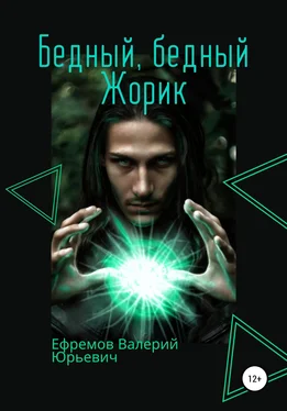 Валерий Ефремов Бедный, бедный Жорик обложка книги