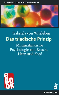 Gabriela von Witzleben Das triadische Prinzip обложка книги