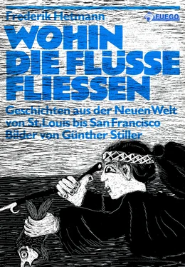 Frederik Hetmann Wohin die Flüsse fliessen обложка книги