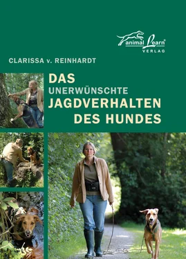 Clarissa v. Reinhardt Das - unerwünschte - Jagdverhalten des Hundes обложка книги