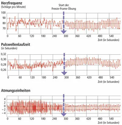 Dieses Schaubild zeigt wie sich die Rhythmen von Atmung - фото 18